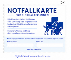 Testkarte