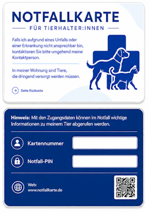 Hartplastikkarte